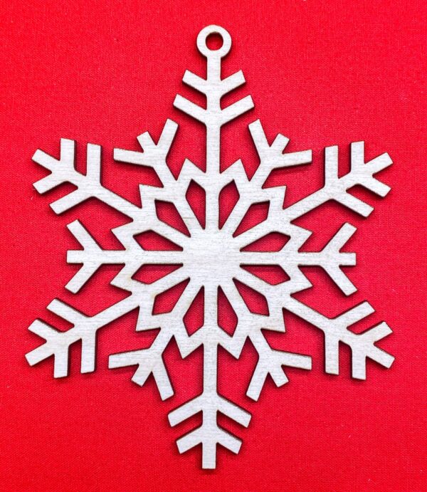Christmas Ornament # 19