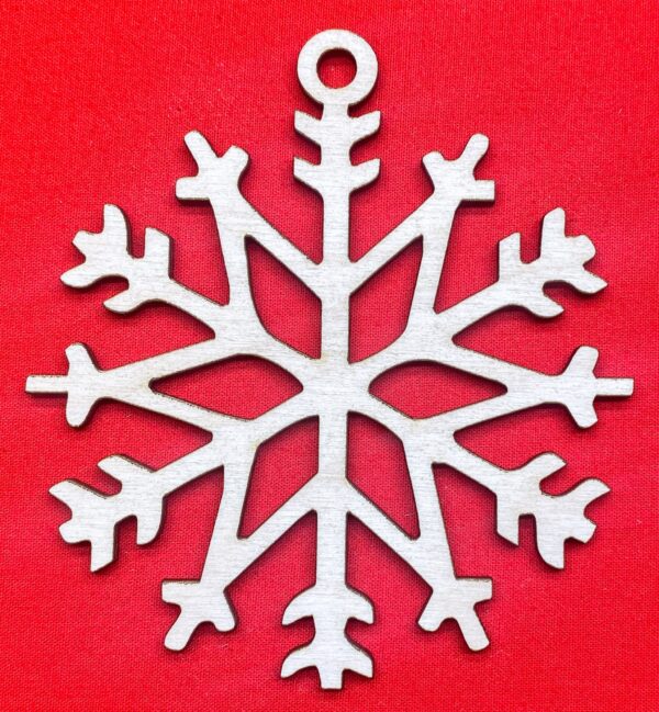 Christmas Ornament # 40