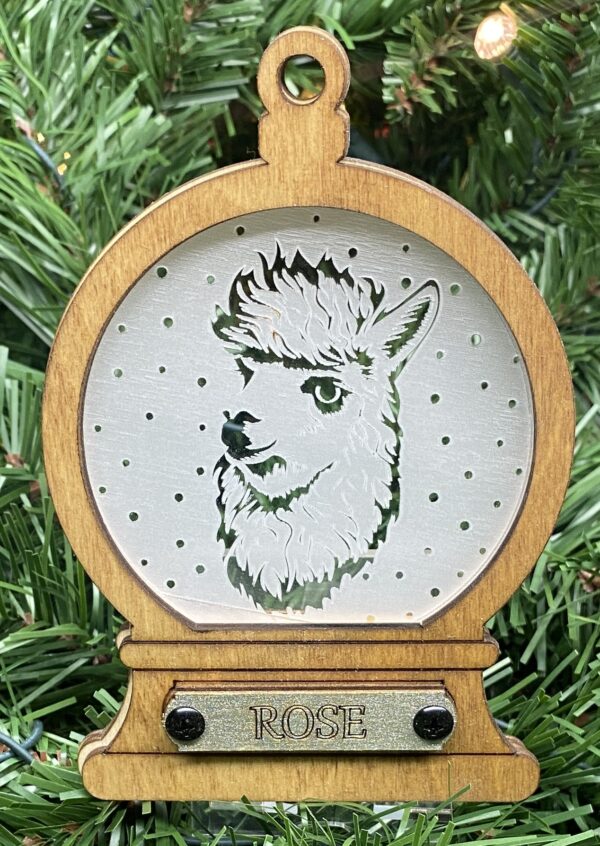 Alpaca