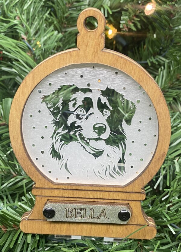 Australian Shepard