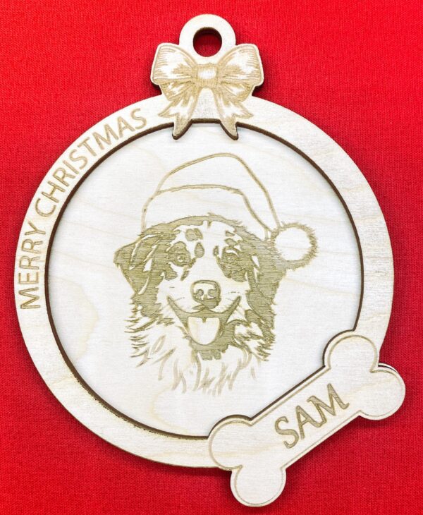 Australian Shepard