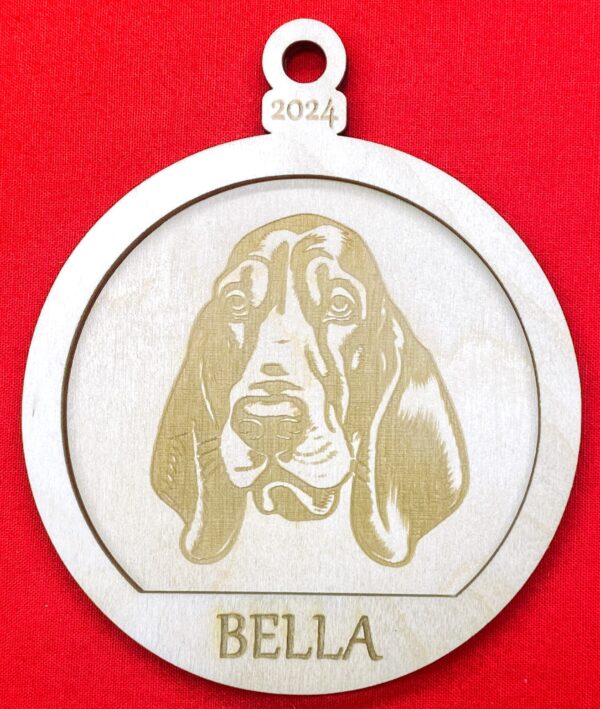 Basset Hound