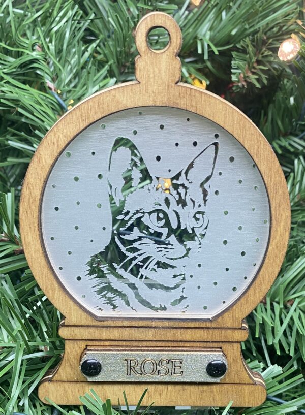 Bengal 1
