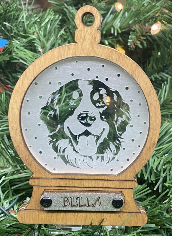 Bernese Mountain Dog