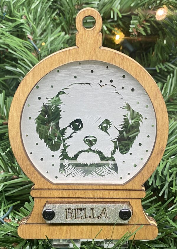 Bichon Frise