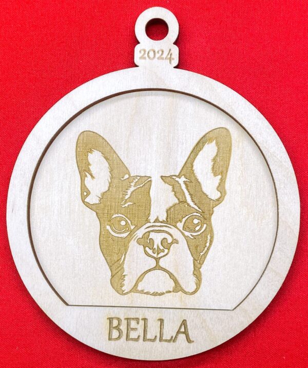 Boston Terrier