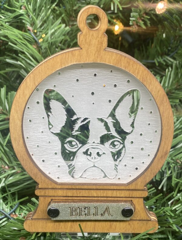 Boston Terrier