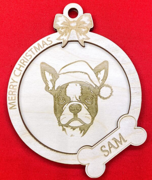 Boston Terrier