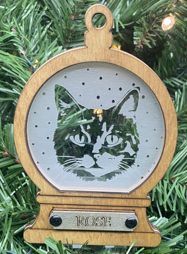 Cat 2