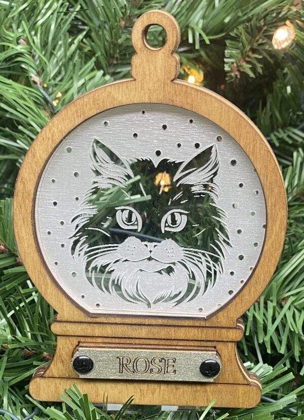 Cat 3