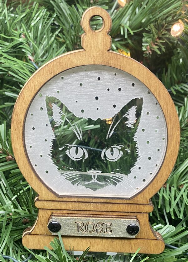 Cat 4