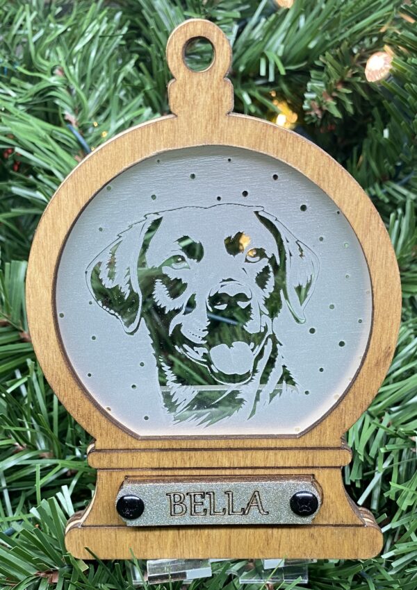 Chesapeake Bay Retriever