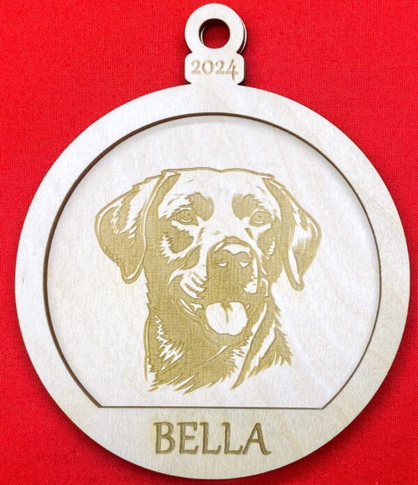 Chesapeake Bay Retriever