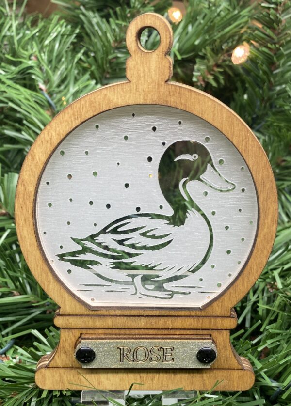 Duck