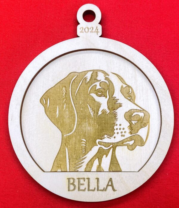 English Pointer