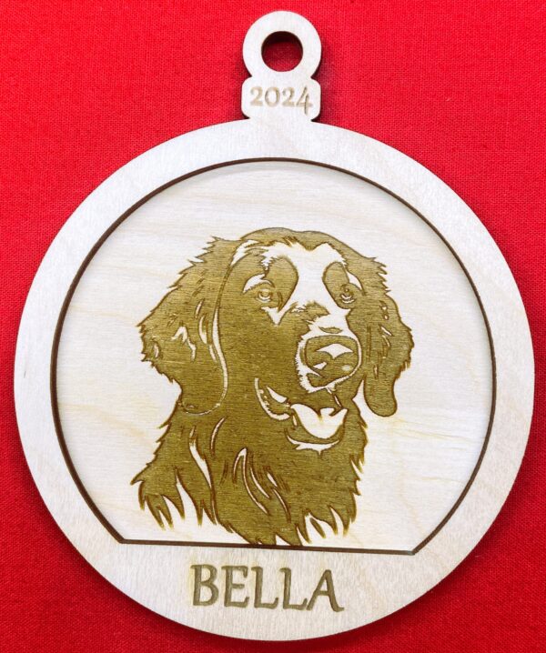 Flat Coated Retriever