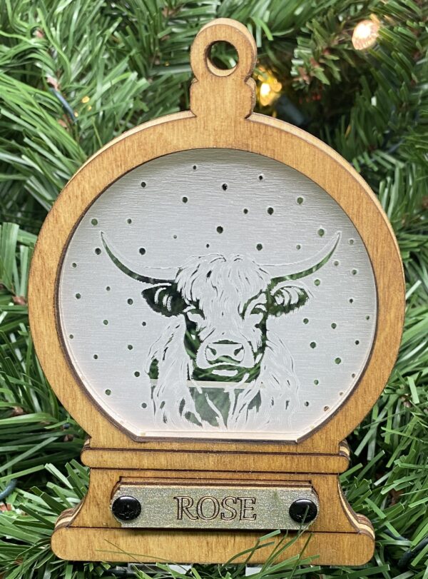 Highland Cow