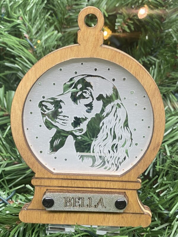 Irish Setter