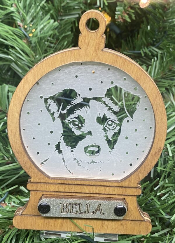 Jack Russell Terrier