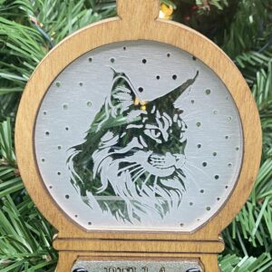 Maine Coon 1