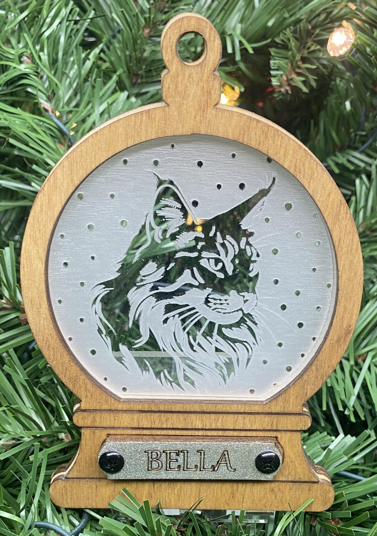 Maine Coon