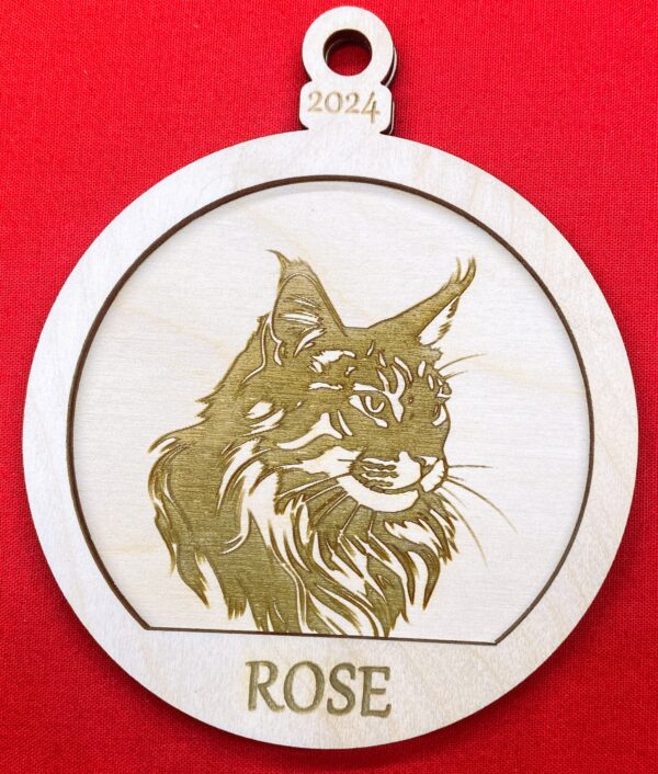 Maine Coon 1