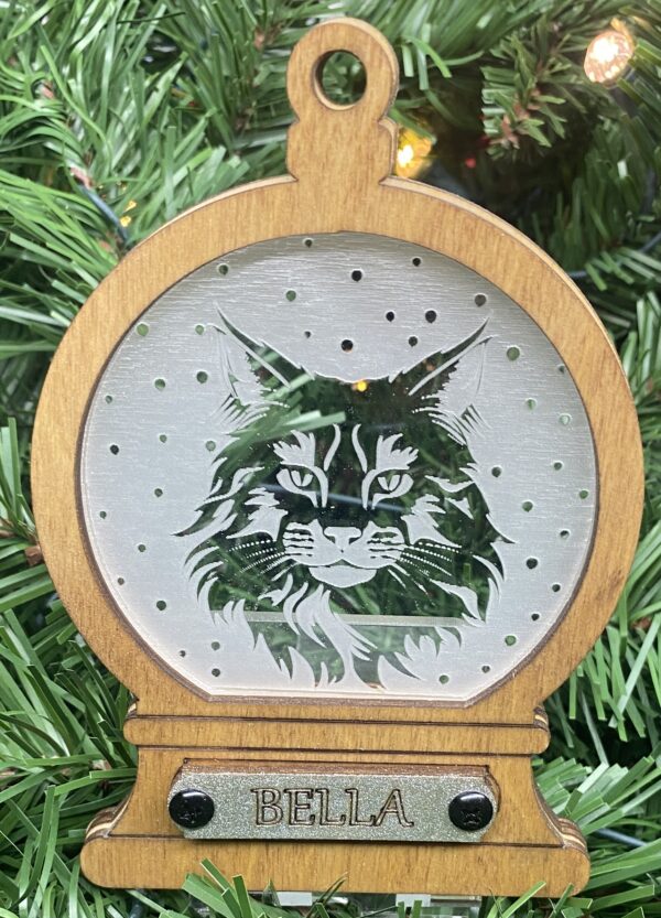 Maine Coon 2
