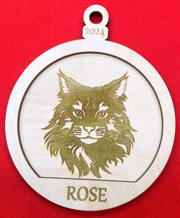 Maine Coon 2