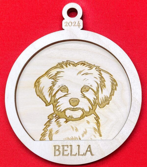 Maltipoo