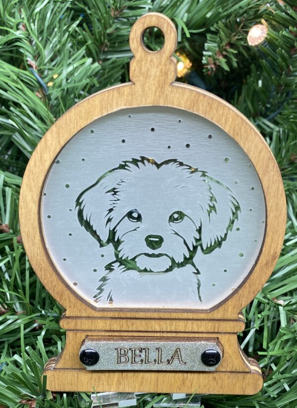 Maltipoo