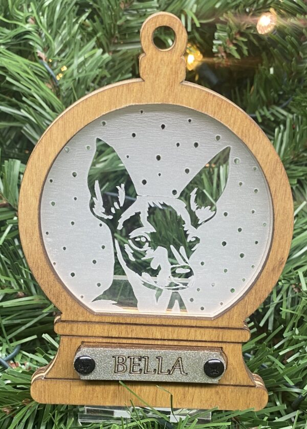 Mini Pinscher
