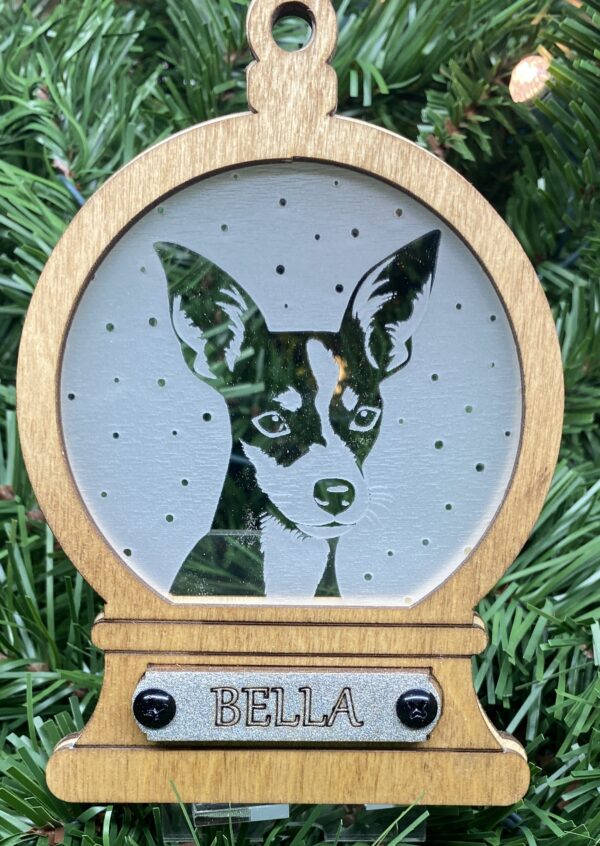 Mini Rat Terrier