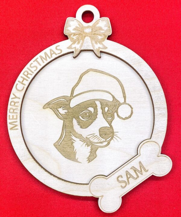 Mini Rat Terrier