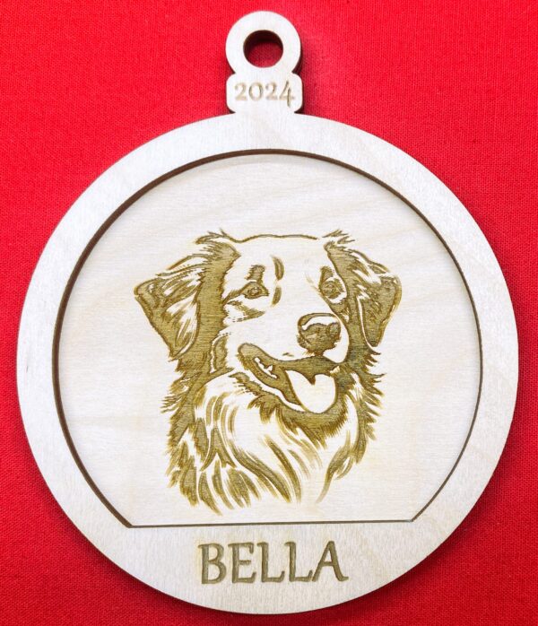 Nova Scotia Duck Toller