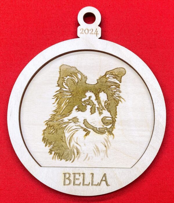 Sheltie