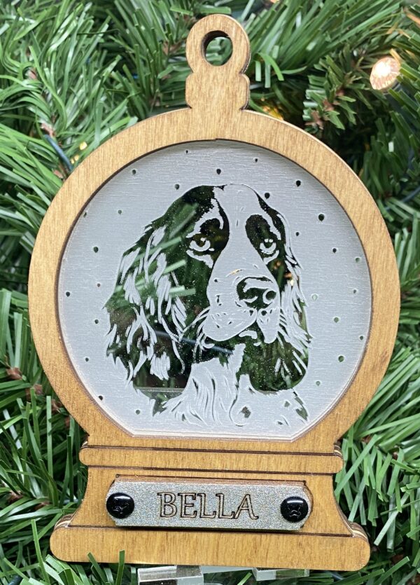 Springer Spaniel