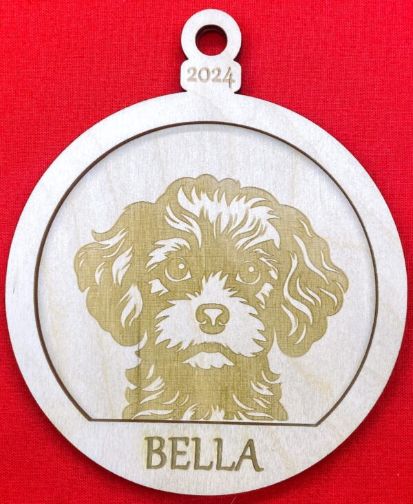 Toy Poodle