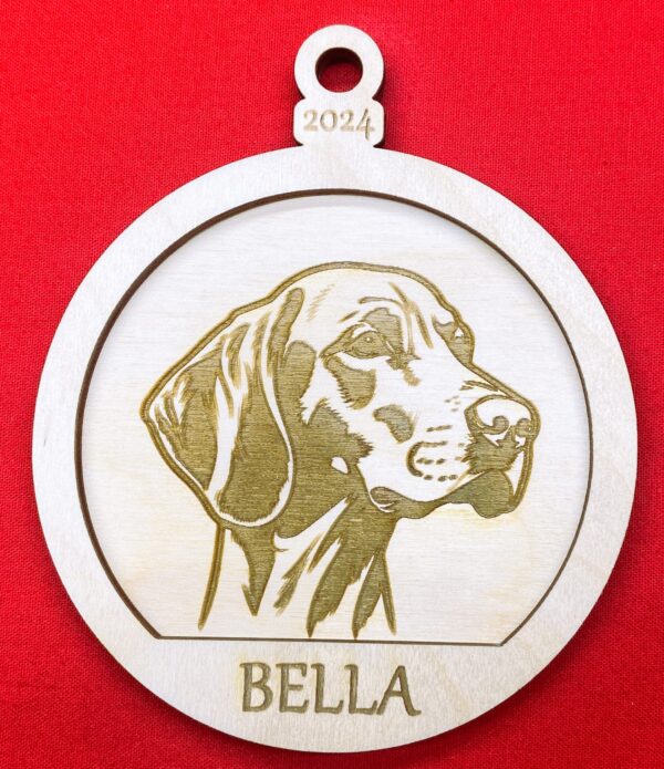 Vizsla