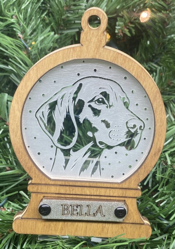 Vizsla