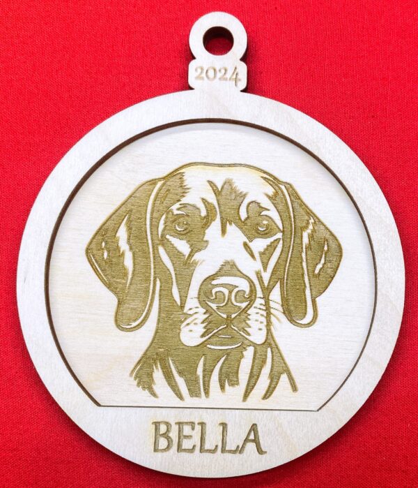 Weimaraner