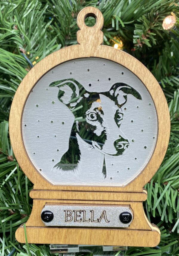 Whippet