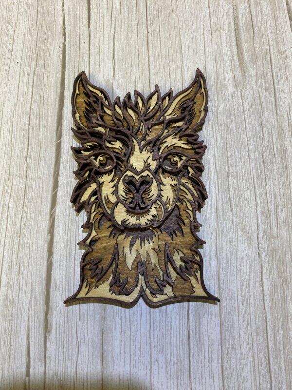 5 Layered Llama