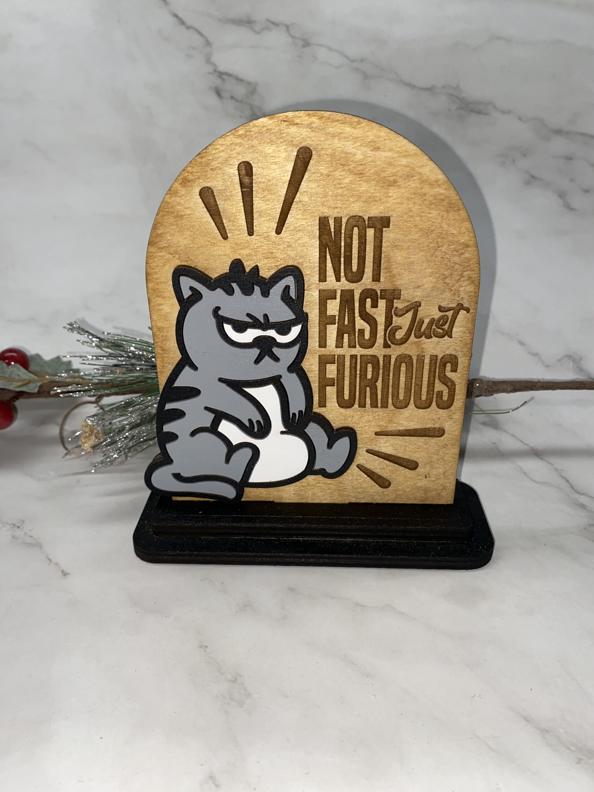 Not Fast butt Furious Decorative 6 inch Sign